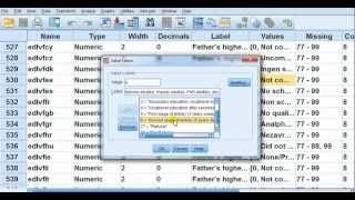 SPSS for newbies Questionnaire data entry  your questions answered [upl. by Renault]