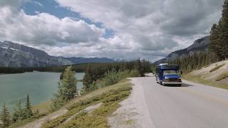 Discover Banff amp Its Wildlife Tour [upl. by Bernette]