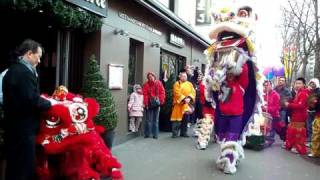 Paris 13ème  Nouvel an chinois 2009  Danse des licornes [upl. by Ojeibbob724]