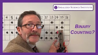 Build a Binary Counter Using Simple Circuits to Explain How Computers Count [upl. by Corry]