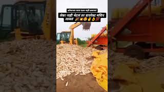 लेबर नाही भेटलं तर डायरेक्ट मशीन लावलं  royalशेतकरी farming शेतकरीbrand farmer royalshetkari [upl. by Dray618]