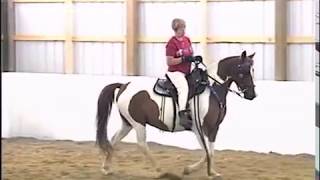 Locking Stifle Syndrome in the Gaited Horse [upl. by Keverian]