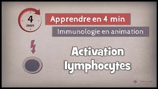 28 ◽ Activation des lymphocytes [upl. by Henryk468]