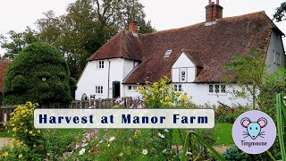 Harvest at Manor Farm step back in time to rural life in England and meet the farmyard animals [upl. by Imij798]