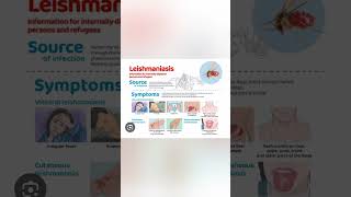 Kalaazar viralvideo publicawareness ministryofhealth education [upl. by Ellenehc484]