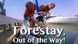 FORESTAY OUT OF THE WAY Adventure 21 [upl. by Maupin]