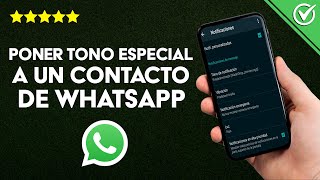 Cómo Poner un Tono Especial o Personalizado a un Contacto en WhatsApp para Mensajes y Llamadas [upl. by Aknaib]