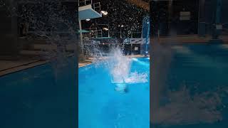 splashdiving sindelfingen 3m springboard massiv attack bombs [upl. by Negam]