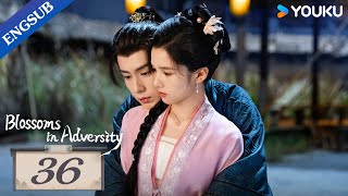 Blossoms in Adversity EP36  Make comeback after familys downfall  Hu YitianZhang Jingyi YOUKU [upl. by Gerianne368]