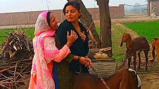 Punjab Diyan Kudiyan Di Nokia kam desi culturenasreen village vlogs [upl. by Ik60]