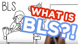 BLS Certification What you need to know [upl. by Stila719]