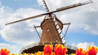 Tulips and Windmills Itinerary from Viking River Cruises [upl. by Dorene]