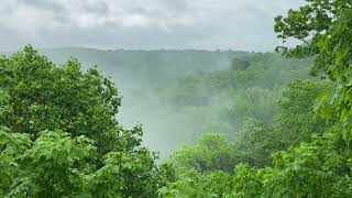 Bernheim Forest  Clermont KY [upl. by Juni480]