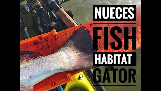 Nueces Bay Fish Habitat  Gator Trout and many redfish [upl. by Ikin718]