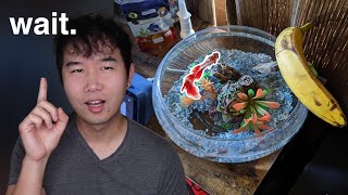 BETTA FISH BOWL DONE RIGHT  Fish Tank Review 279 [upl. by Shuler]