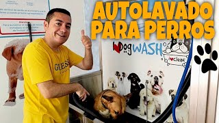 Autolavado para perros IRA Bull Terrier lo prueba y explico cómo funciona [upl. by Amihc]