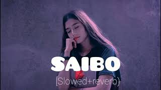 SAIBO Songslowed Reverb by cuteyenaforyou explore foryoupage viral song [upl. by Neale]