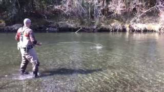 Steelhead Fishing on the Situk River in Yakutat Alaska [upl. by Hakvir165]