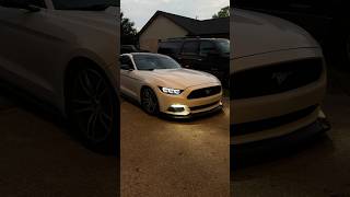 Pros and Cons of Driving a LOWERED S550 Mustang 🛞 [upl. by Aiepoissac]