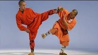 Shaolin Kung Fu 18 fight techniques [upl. by Baecher]