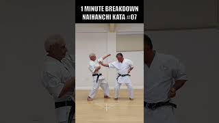 Naihanchi Basic Applications 1 minute kata shorts wado [upl. by Kcirdec776]