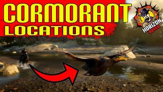 Cormorant Locations in RDR2 Online  Red Dead Online  RDO Where to find Cormorant in RDR2 [upl. by Nnyleve12]