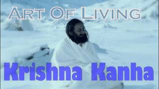 Krishna Kanha  Art Of Living Bhajans Satsang [upl. by Evante]