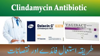 Clindamycin Antibiotic  Clindamycin Capsule and suspension  Vagibact Cream  Dalacin C Capsule [upl. by Tatiana]