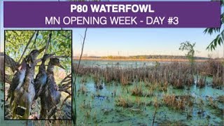 Semaine dOuverture au Gibier dEau Jour 3  MN USA Sept 2024  MN Waterfowl Opening Week Day3 [upl. by Moina625]