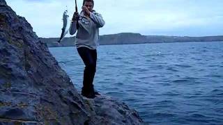 Mackerel fishing at Lydstep pembrokeshire [upl. by Anikat922]