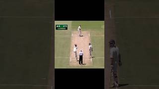 Best of Dale Steyn  Dale Steyn Best Bowling shorts shortsvideo cricket [upl. by Wes667]