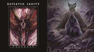 Defeated Sanity  The Mesmerizing Light Full Guitar Playthrough [upl. by Latsyek]