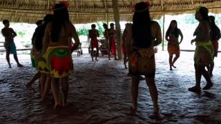 Embera Village Traditional Dance near Gamboa Panama [upl. by Dielu]