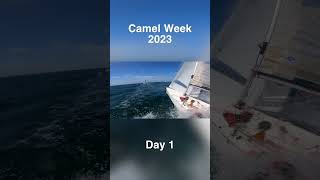 Camel Week 2023  Champagne Sailing 🍾 [upl. by Aramen243]