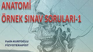 Anatomi Öğreten Örnek Sınav Soruları1  ÖnlisansLisans [upl. by Aselehc]