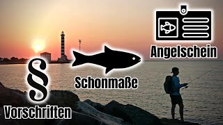 Angeln am Meer in Italien  Alles zum Thema Angellizenz Schonmaße und Vorschriften [upl. by Ateinotna518]