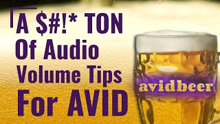 A Ton Of Audio Volume Tips For AVID [upl. by Neelon874]