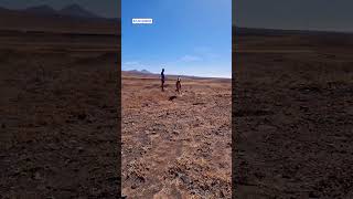 run to me dog friends canaryislands sand desert sky slowmotion [upl. by Chui244]