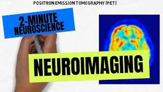 2Minute Neuroscience Neuroimaging [upl. by Idonah884]