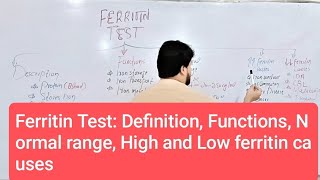 Ferritin Test  Definition Functions Normal Range High and Low Ferritin Causes [upl. by Ttnerb]