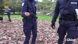 Operazione Unità Cinofila Polizia Locale Milano al Parco Sempione [upl. by Otrebile166]