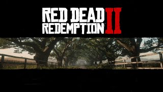 Story Mode 56  Un despote bienveillant  RDR2 with RTX  FR [upl. by Summer]