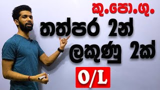 OL Easy Maths  Past Paper Discussion  Mathematics  Ganithaya  Grade 1011 amp OL Siyomaths 🇱🇰 [upl. by Aicilak]