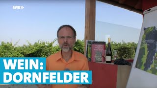 Werner erklärt Wein Dornfelder [upl. by Draillih]