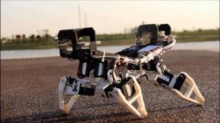 Metamorphic Walking Robot [upl. by Eisset]