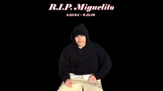 RIP Miguelito VLN XIV [upl. by Nathanil]