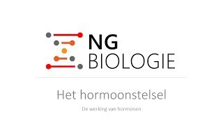 Het hormoonstelsel  de werking van hormonen  VWO [upl. by Noryak]