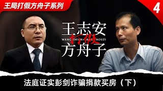 法庭证实彭剑用捐款买房下 ｜王局打假方舟子重制版 [upl. by Reidar454]