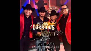 Mix De Puros Corridos De Los Plebes Del Rancho De Ariel Camacho [upl. by Elkcim]