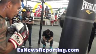 Mercito quotNo Mercyquot Gesta BLAST the punching bag SHOWS OFF FAST HANDS [upl. by Ynnor]